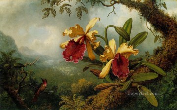 蘭とハチドリ ATC ロマンチックな花 マーティン ジョンソン ヘッド Oil Paintings
